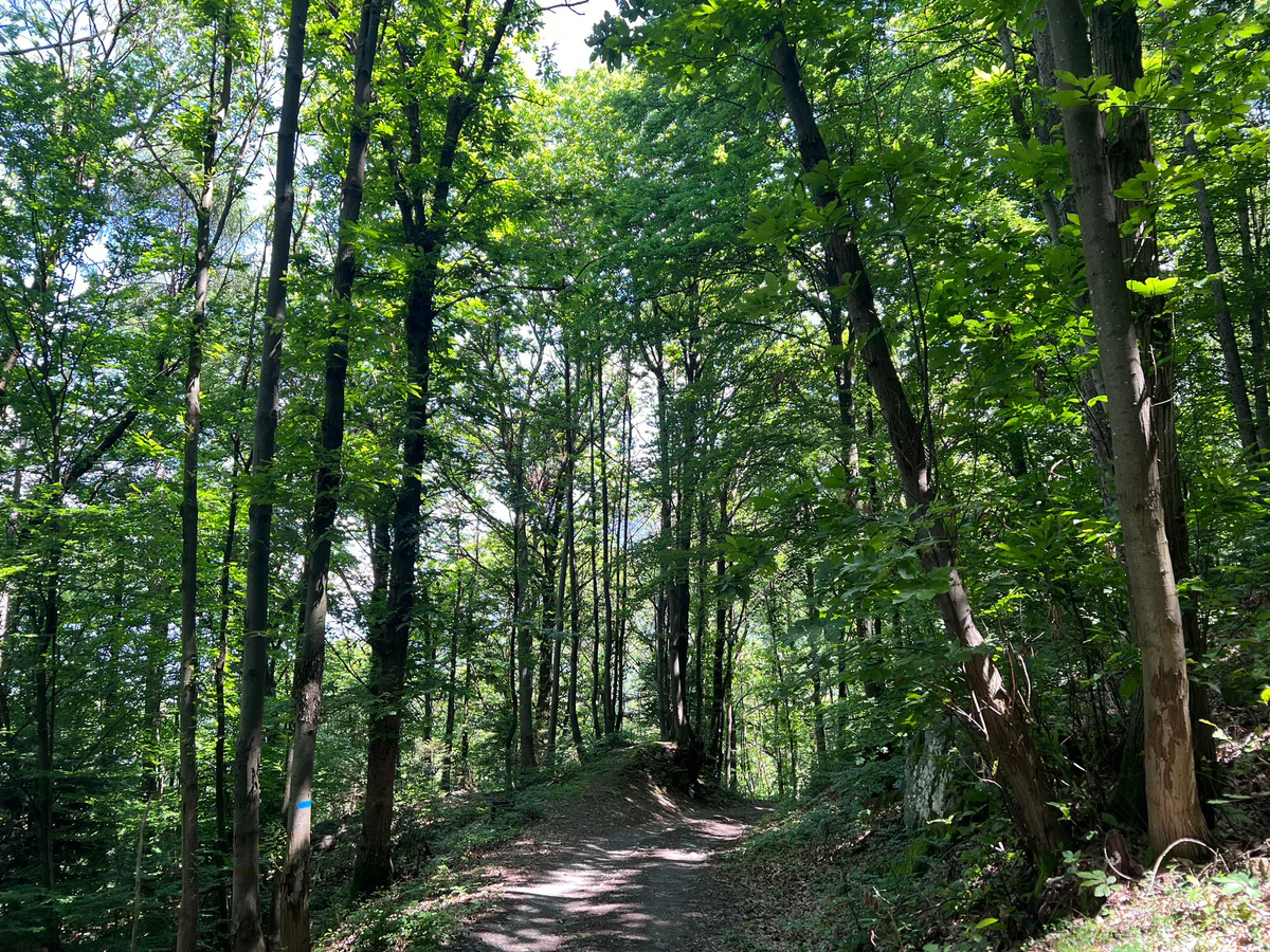 GFS CHEP_val camonica.jpeg